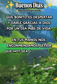 Que Bonito Buenos Dias GIF by Murcianys LLC