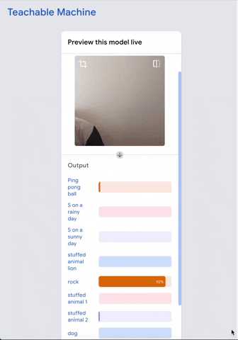 haydencarey giphyupload GIF