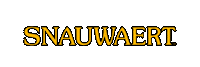 snauwaert1928 tennis padel weservetennis snauwaert Sticker