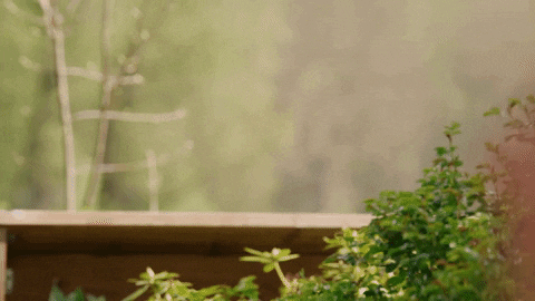 Summer Fun Reaction GIF by Hallmark Channel