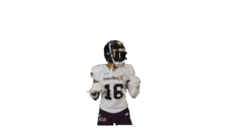 American Football Sticker by Frankfurt Galaxy