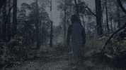TheAvenue_Film florida secret zoo woods GIF