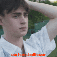 Jaeden Martell GIF by Signature Entertainment