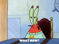 season 5 the original fry cook GIF by SpongeBob SquarePants
