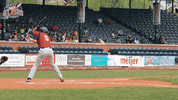 EvansvilleOtters baseball hit hitting evansville GIF
