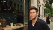 Nice To Meet Ya GIF by Niall Horan