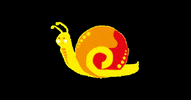 LaChiocciola  GIF
