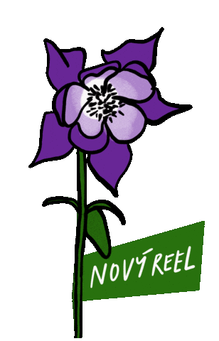 Czech Sticker