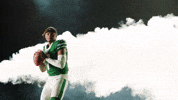 Football Nfl GIF by New York Jets