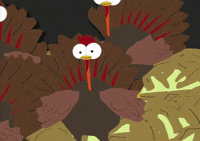 trash turkey GIF by South Park 