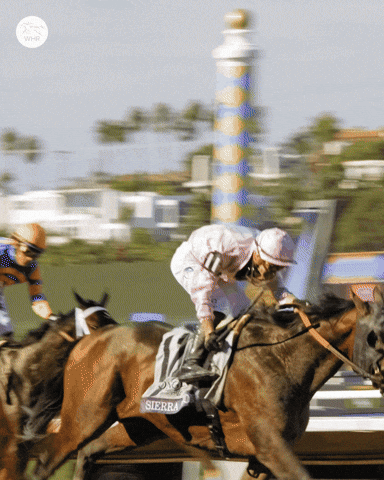 Melbourne Cup Celebration GIF by World Horse Racing