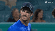 Sport Murray GIF by Tennis TV