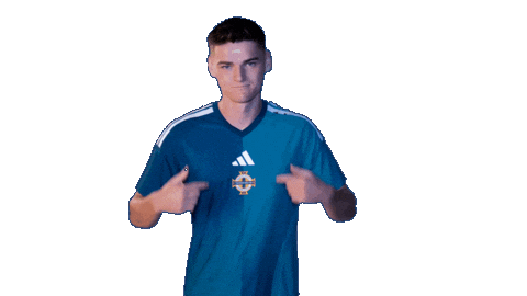 Crystal Palace Shrug Sticker by Northern Ireland