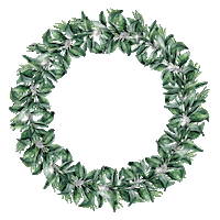 Raywhite Rwg Sticker by Ray White Group