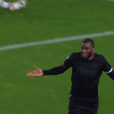 1 Fc Cologne Football GIF by 1. FC Köln