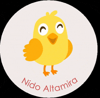 altamiraedu pollito altamira ais nido GIF