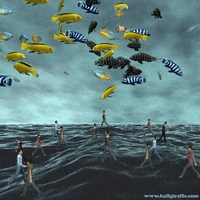 Rush Hour Water GIF by William Garratt