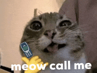 IkhtiarOp cat cat call meow call meow call me GIF