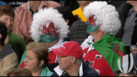 rugby union comedy GIF by World Rugby