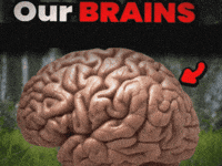 Thinking Think GIF