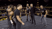 Wwe Nxt Pain GIF by WWE
