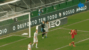 Football Goal GIF by MolaTV