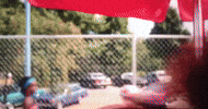 pool stranger things billy too hot GIF