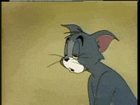 tom GIF