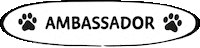 Bhambassador GIF by barkingheads