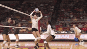 cyclonestv cyclones cyclone volleyball faked spike genesis miranda GIF