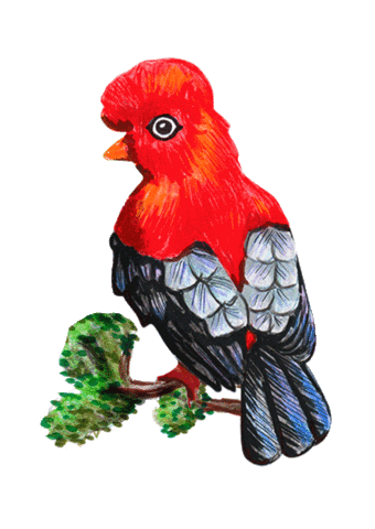 artesco_oficial giphyupload bird ave artesco Sticker