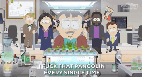 Every Time Randy Marsh GIF by South Park