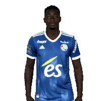 Ligue 1 Celebration Sticker by Racing Club de Strasbourg Alsace
