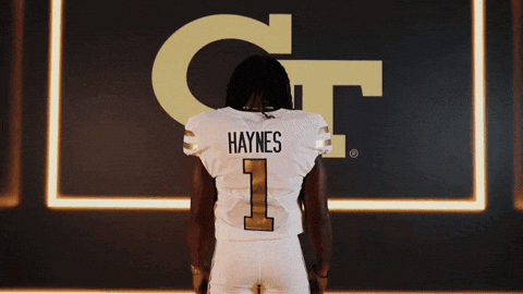 Georgia Tech Football Sport GIF by Georgia Tech Yellow Jackets