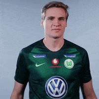 fifa 18 football GIF by VfL Wolfsburg