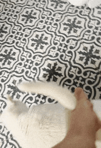 Front Flip GIF