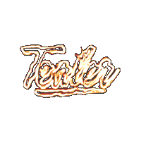 fire logo Sticker by TEALER
