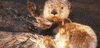 Holding GIF