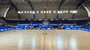Marketing Futsal GIF by Alzira FS