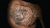 best ink animation GIF by Oxygen