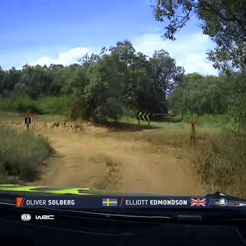 Fail Game Over GIF by FIA World Rally Championship