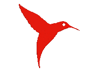 Party Summer Sticker by PalladiumHotelGroup