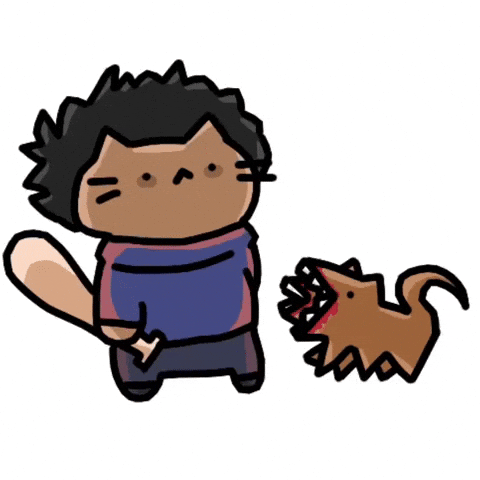 Cat Look Outside GIF