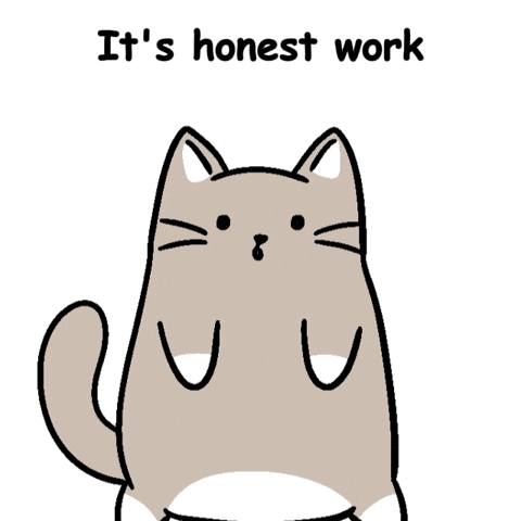 Hard Work Grey Cat GIF by MESA My Emotional Support Animal