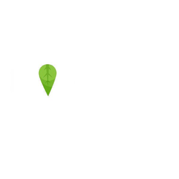 sesdermaes giphyupload beauty green skincare Sticker