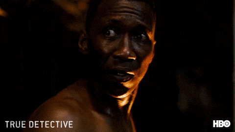 GIF by True Detective