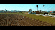 Horchata Alboraya GIF by Fartons Polo