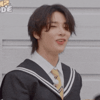Stray Kids Skz GIF