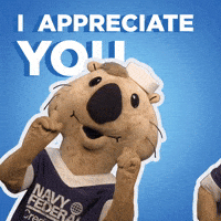 Navy Federal GIF by Navy Federal Credit Union