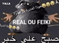 Rat GIF